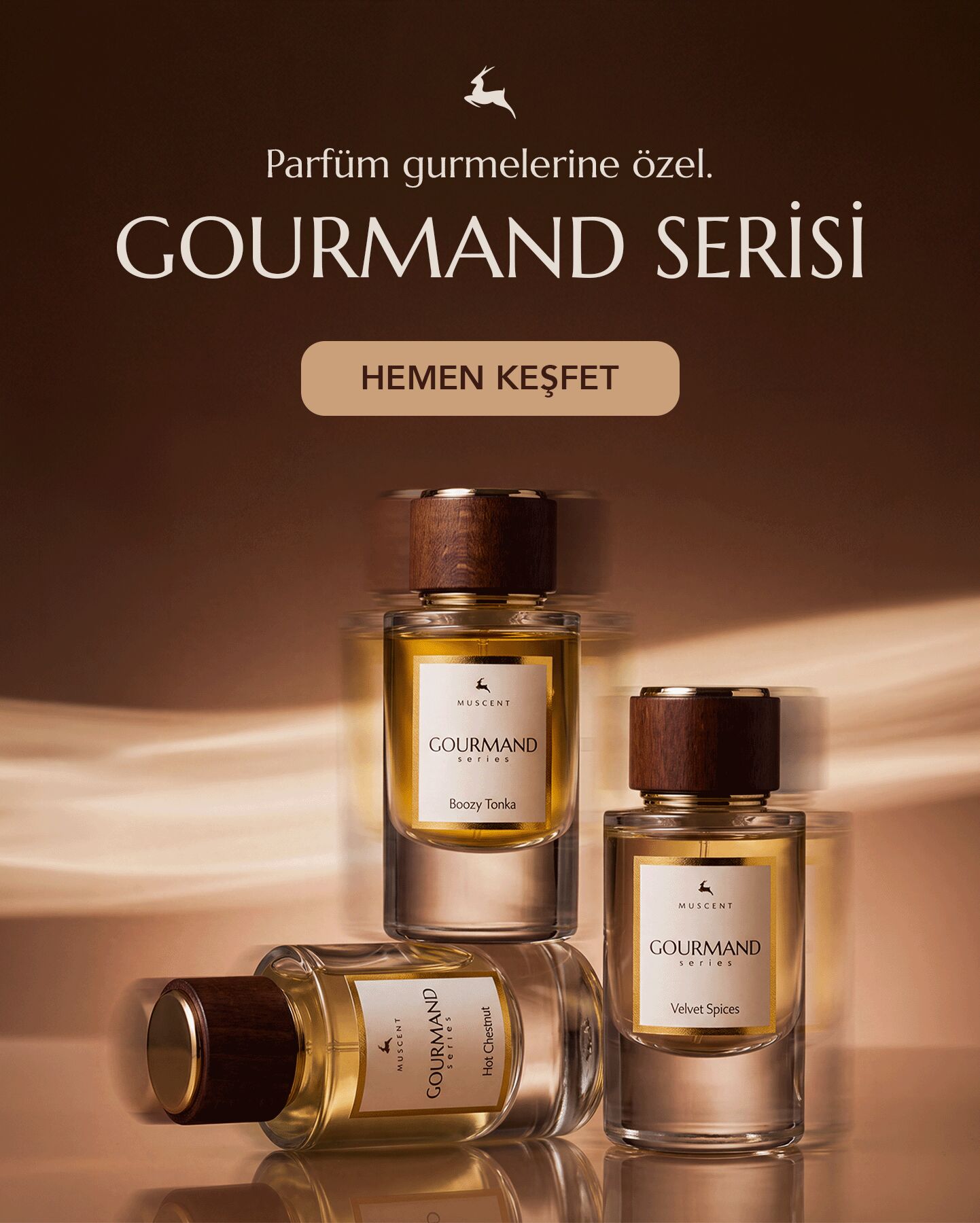 Muscent Ayın Ürünleri