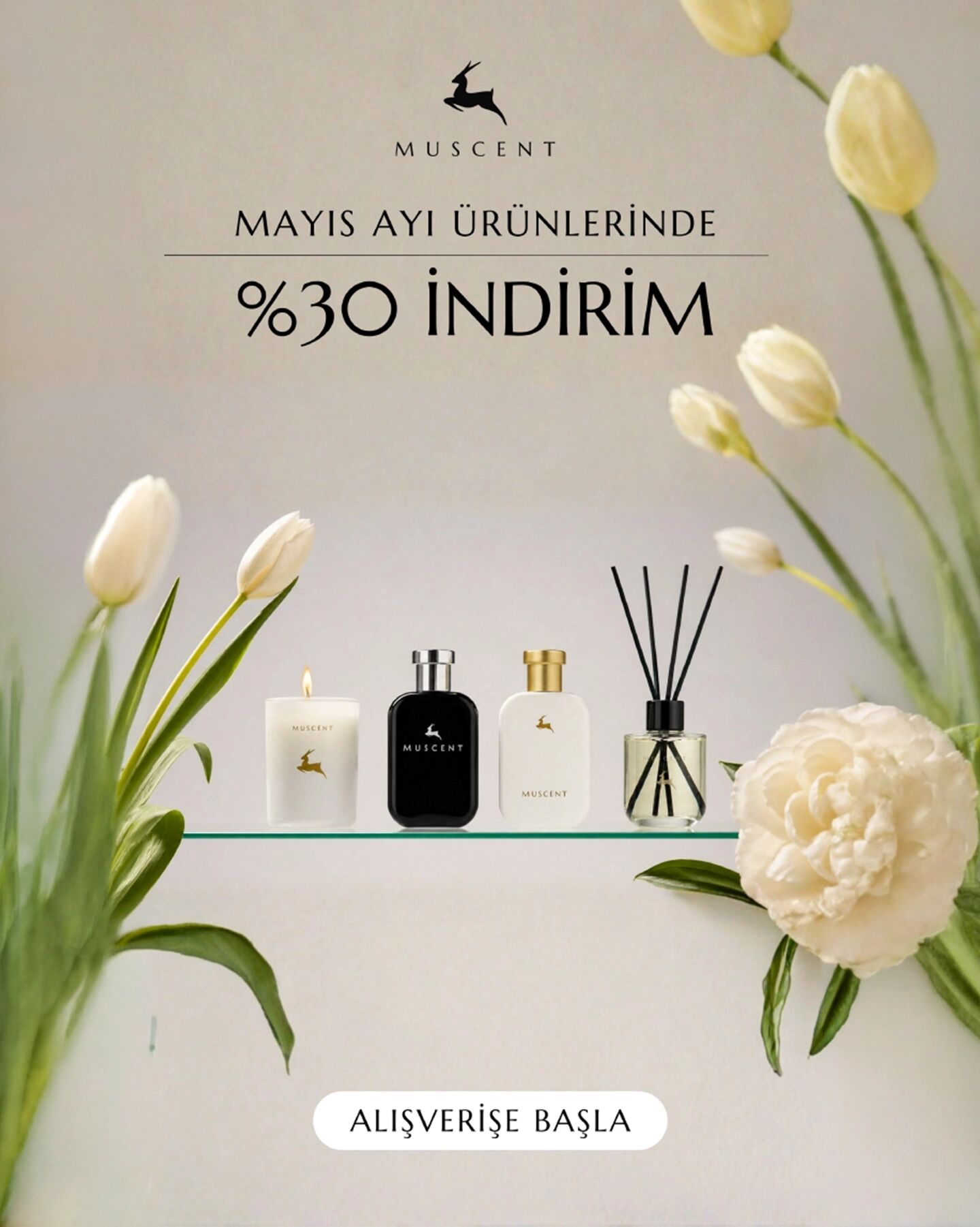 Muscent Ayın Ürünleri