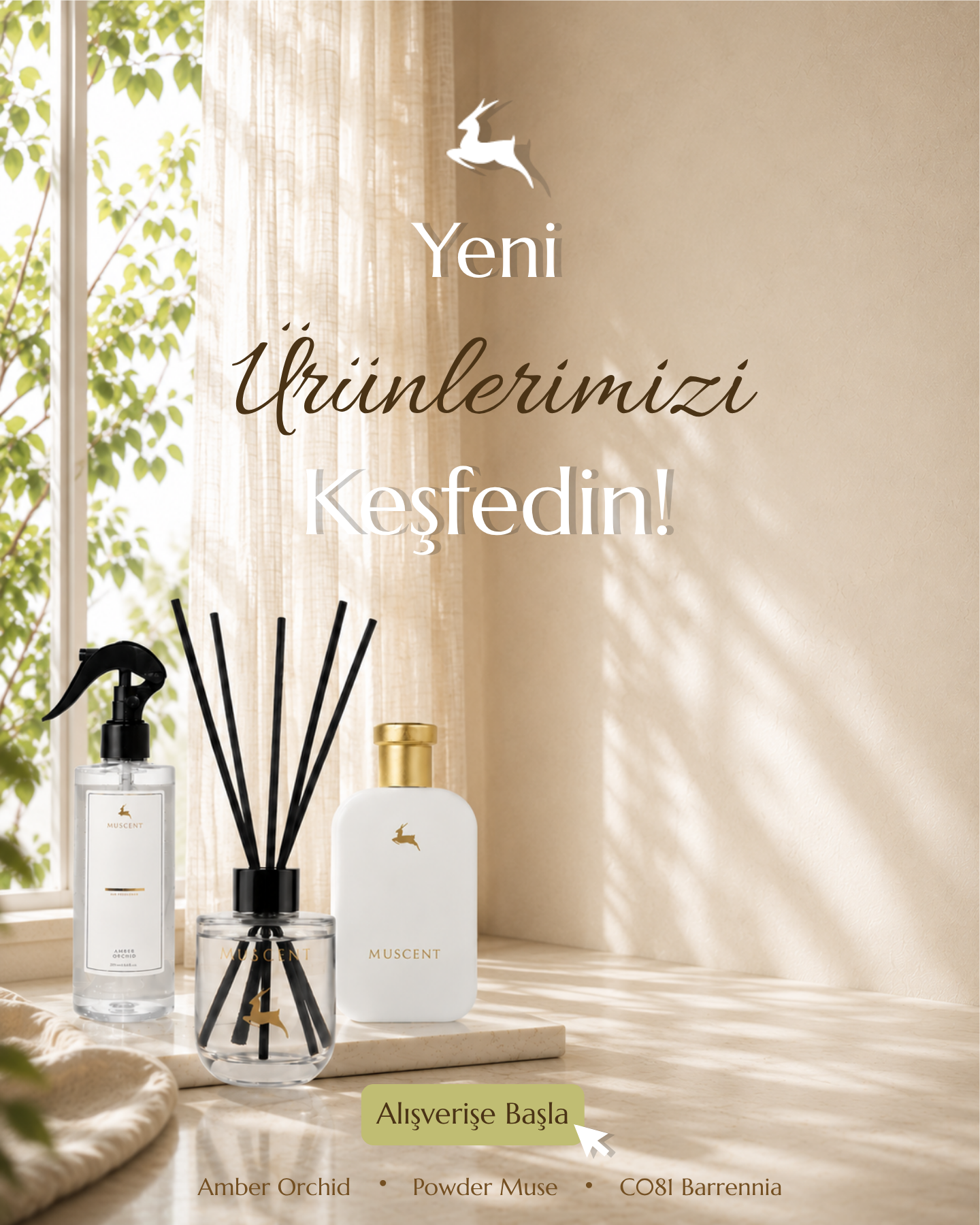 Muscent Ayın Ürünleri