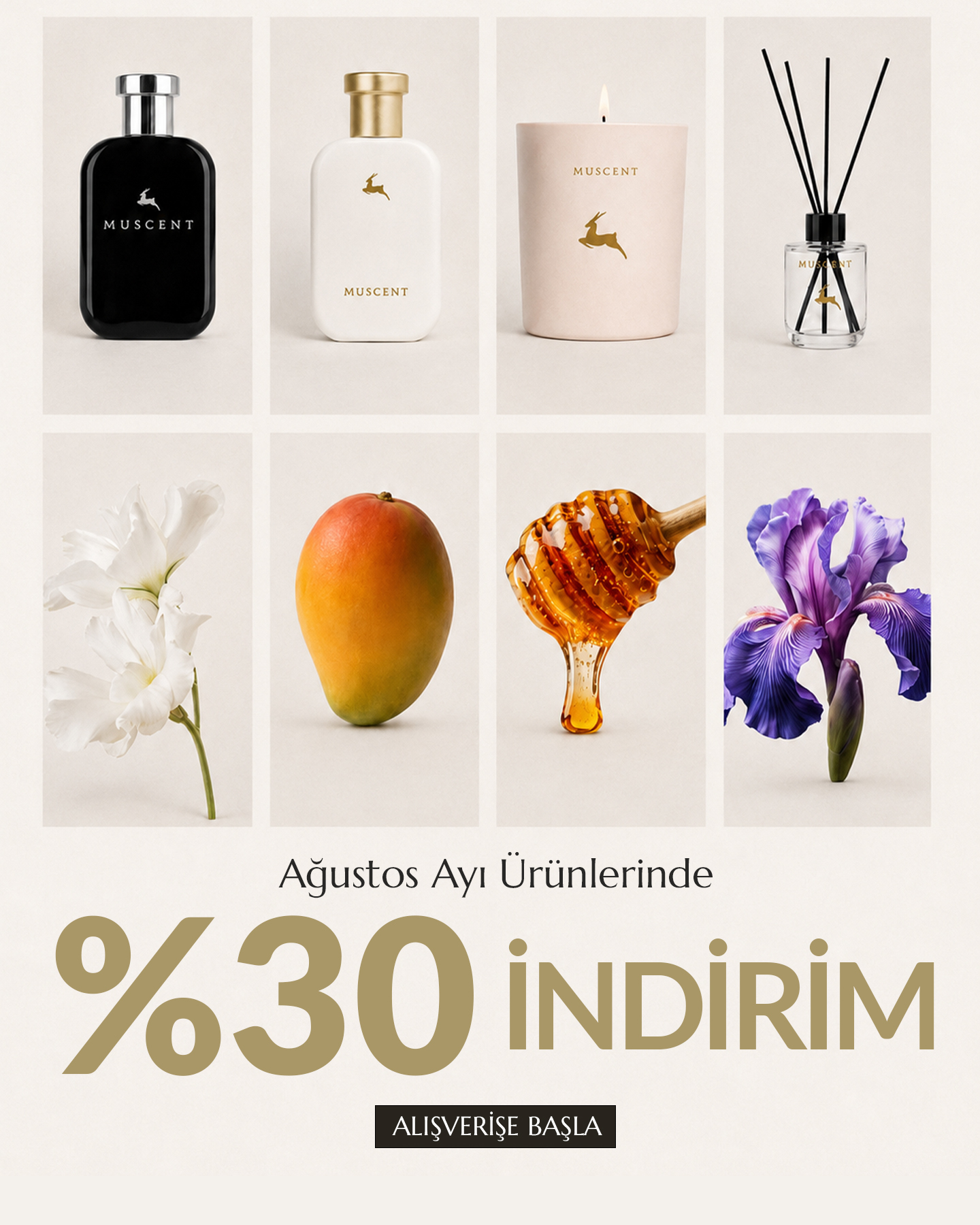 Muscent Ayın Ürünleri