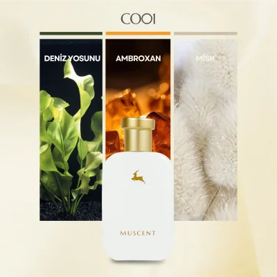 C001 Mega Amare - MUSCENT (1)