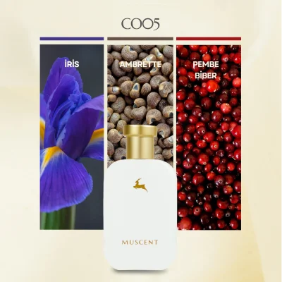 C005 GYou - MUSCENT (1)