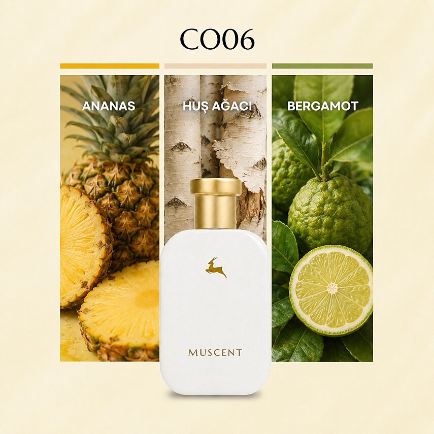 C006 Avntus özel - 1