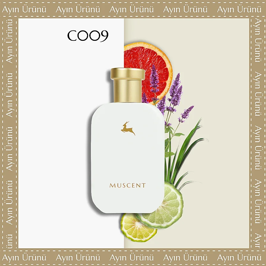 C009 Orrage - MUSCENT