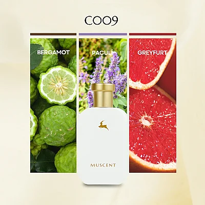 C009 Orrage - MUSCENT (1)