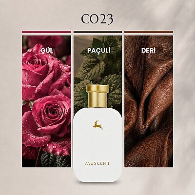 C023 PArdent - MUSCENT