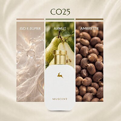 C025 Ano 13 - MUSCENT