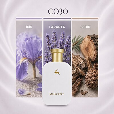 C030 DHI - MUSCENT