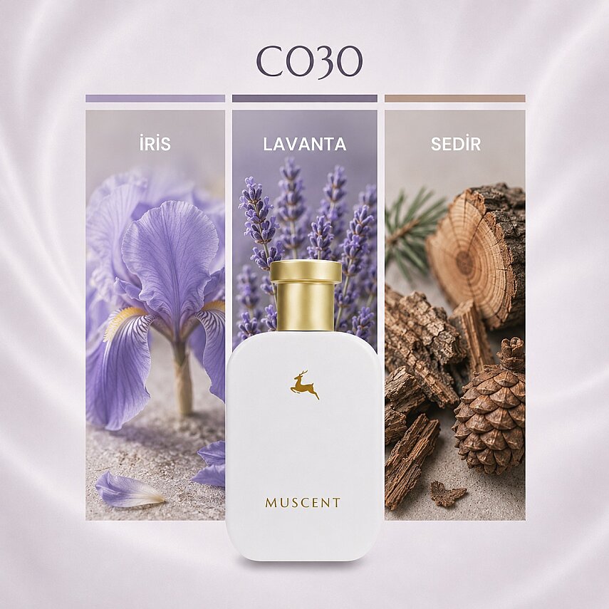C030 DHI - 1
