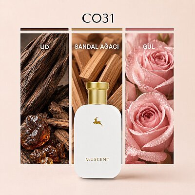 C031 S Royal - MUSCENT