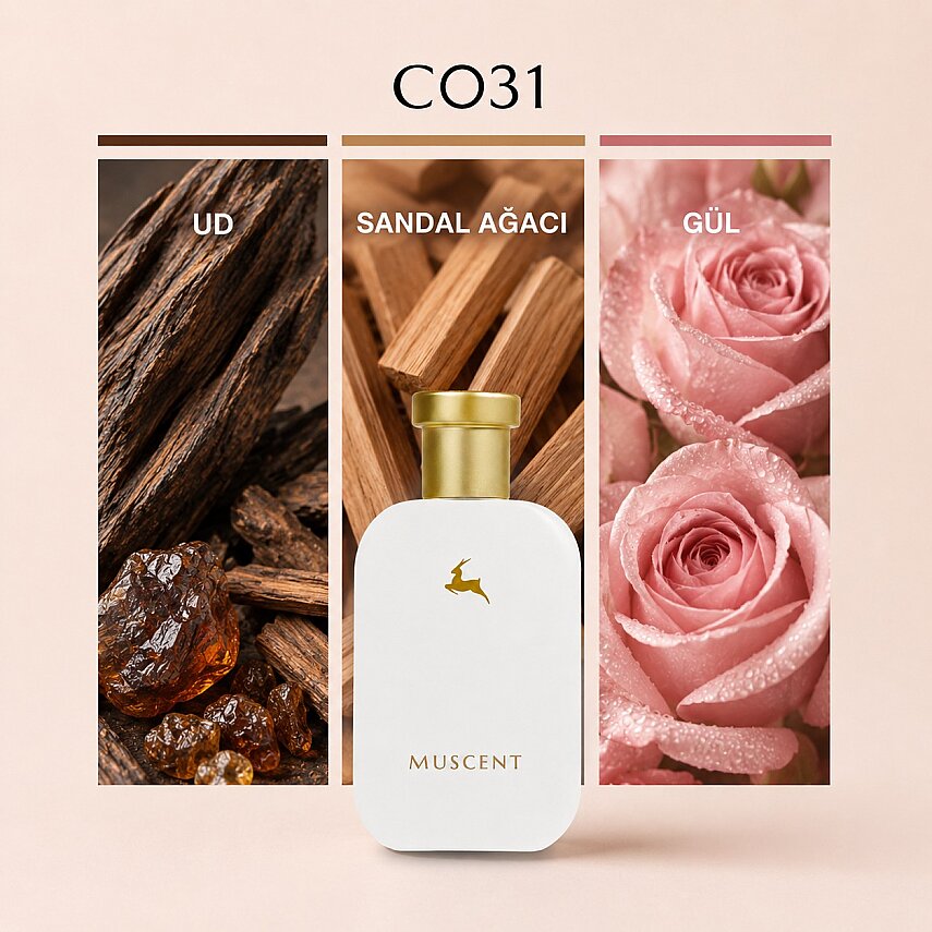 C031 S Royal - 1