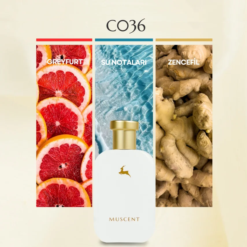 C036 Limensit - MUSCENT