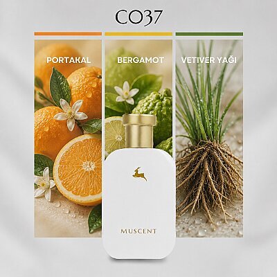 C037 Meteory - MUSCENT