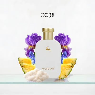 C038 Aksento - MUSCENT (1)