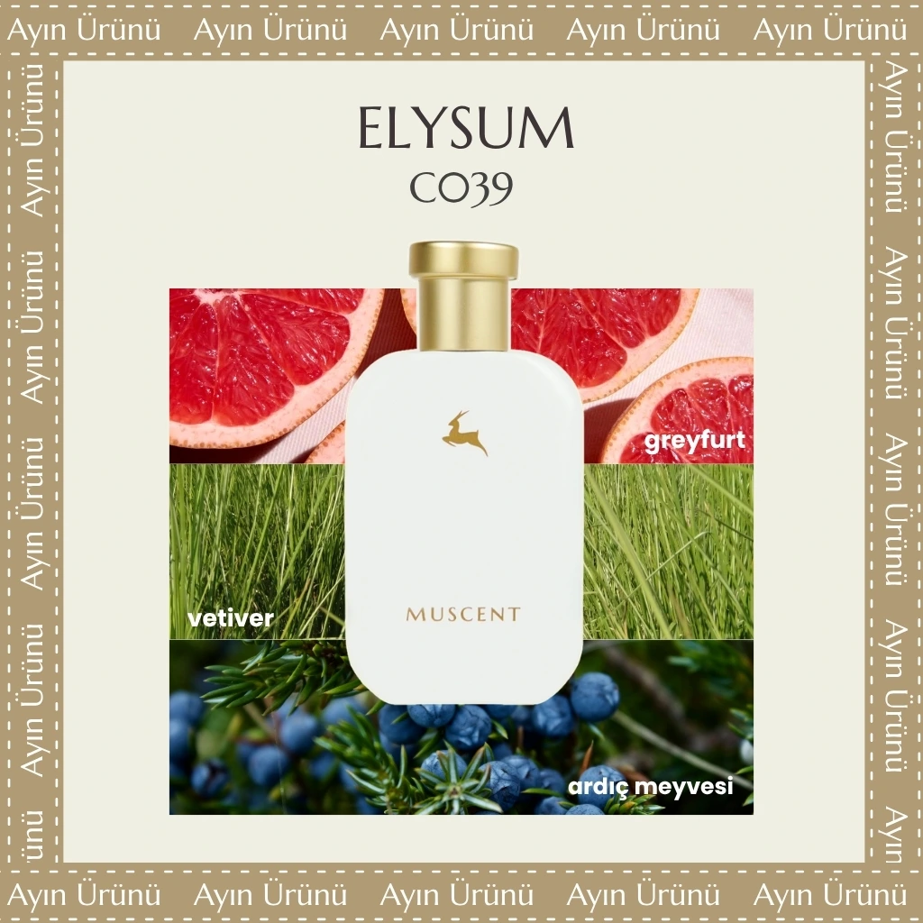 C039 Elysum