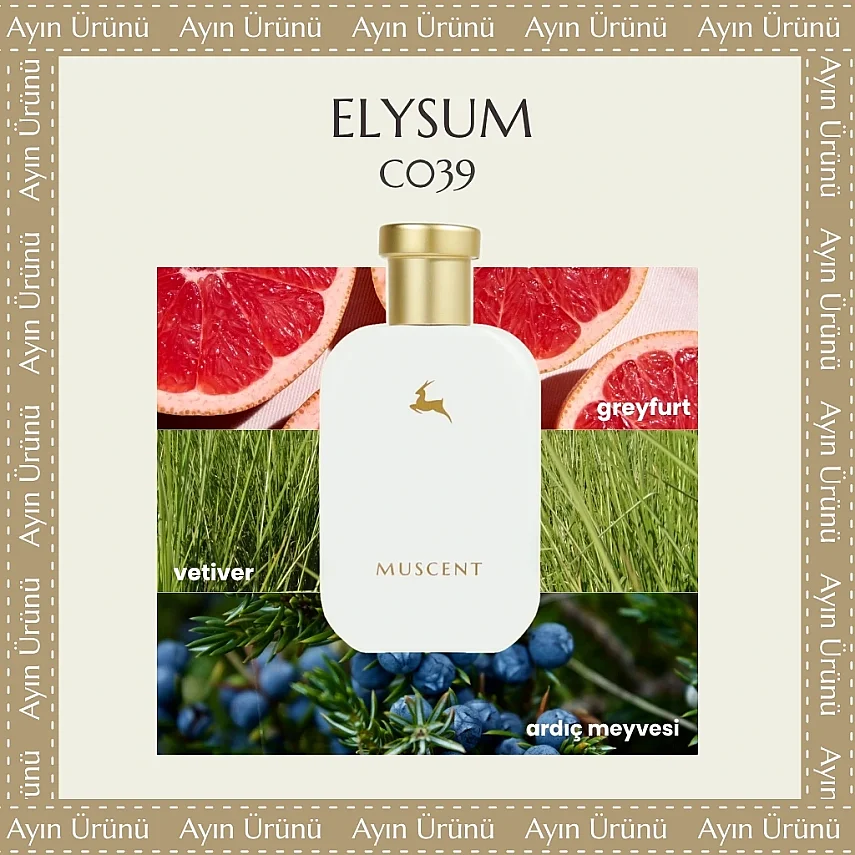 C039 Elysum - 1
