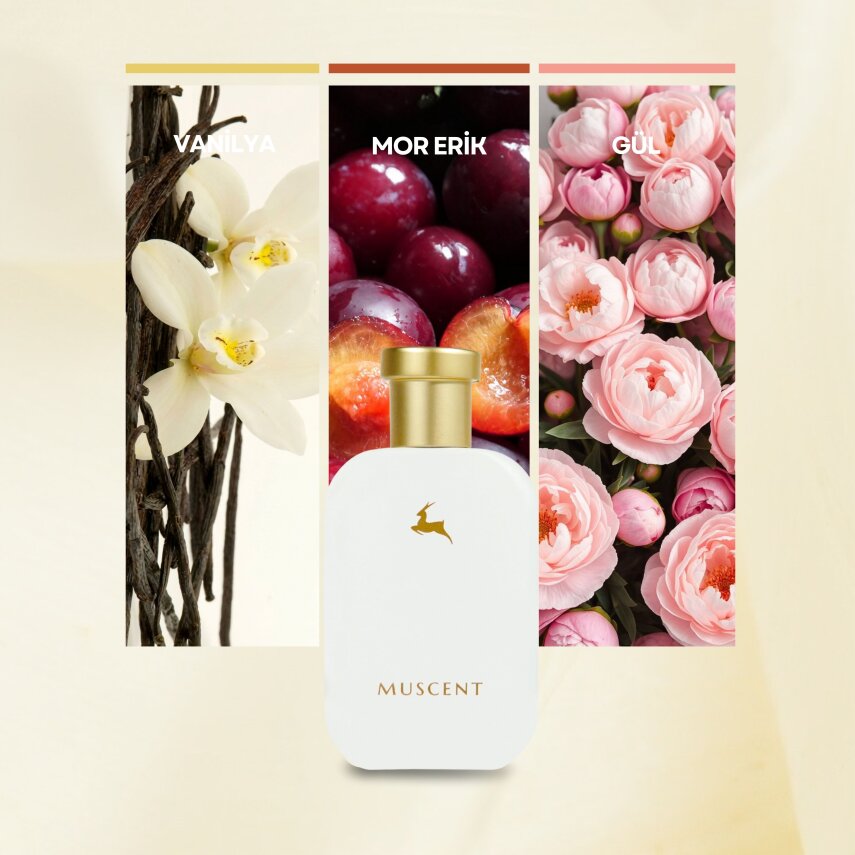 C046 Musk N Rose - 3