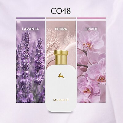 C048 PureSatinWhite - MUSCENT