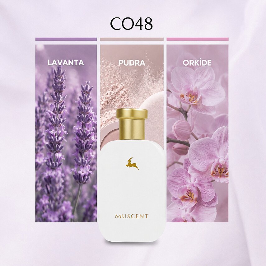 C048 PureSatinWhite - 1