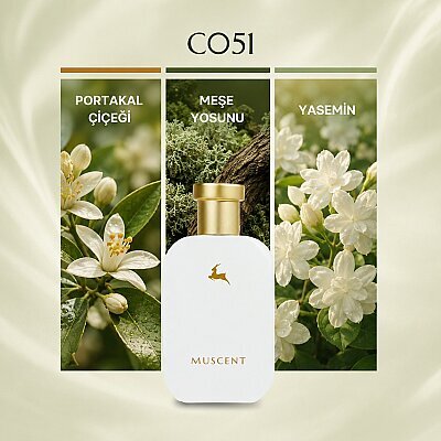C051 Sohoo - MUSCENT