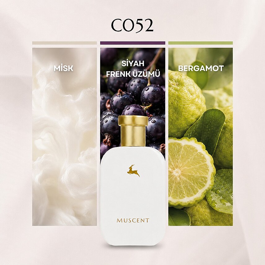 C052 MTherapy - 1
