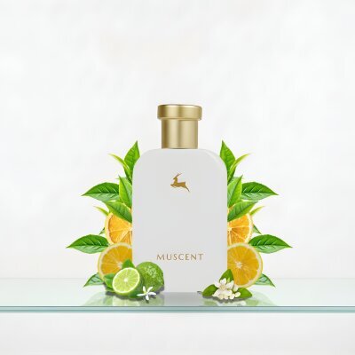 C055 Imagine - MUSCENT (1)