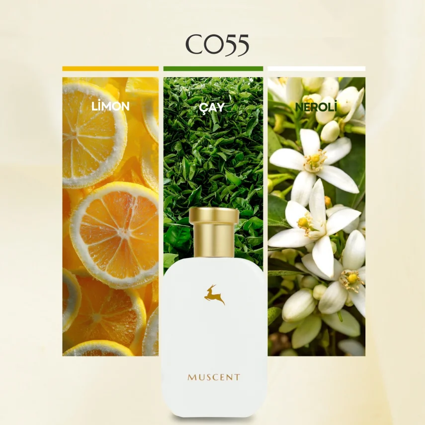 C055 Imagine - MUSCENT