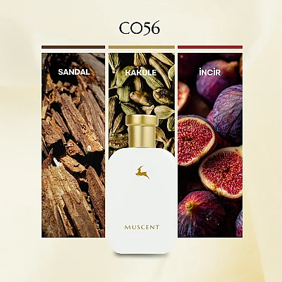 C056 Gri Charnel Ext - 4