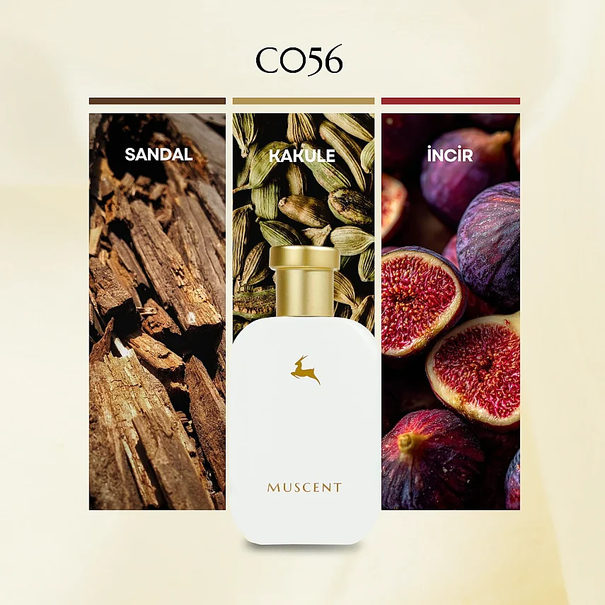 C056 Gri Charnel Ext - 4