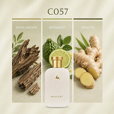 C057 Heedonist - MUSCENT
