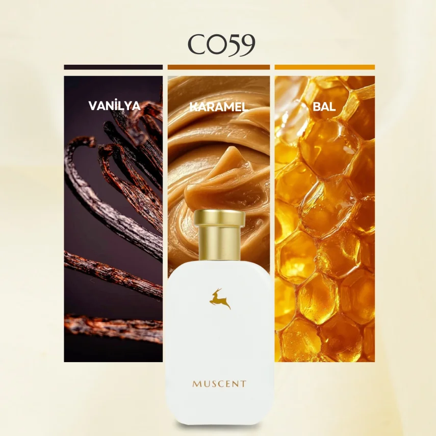 C059 Byanco Latte - MUSCENT