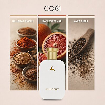 C061 Kalann - MUSCENT