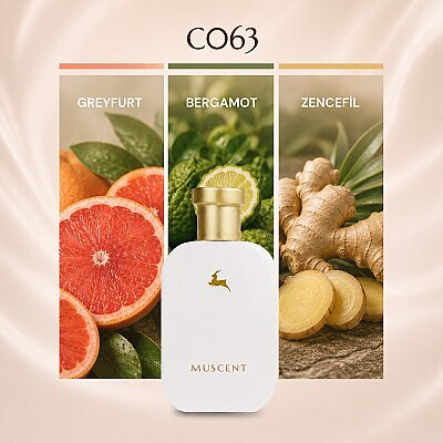 C063 Sempony - MUSCENT
