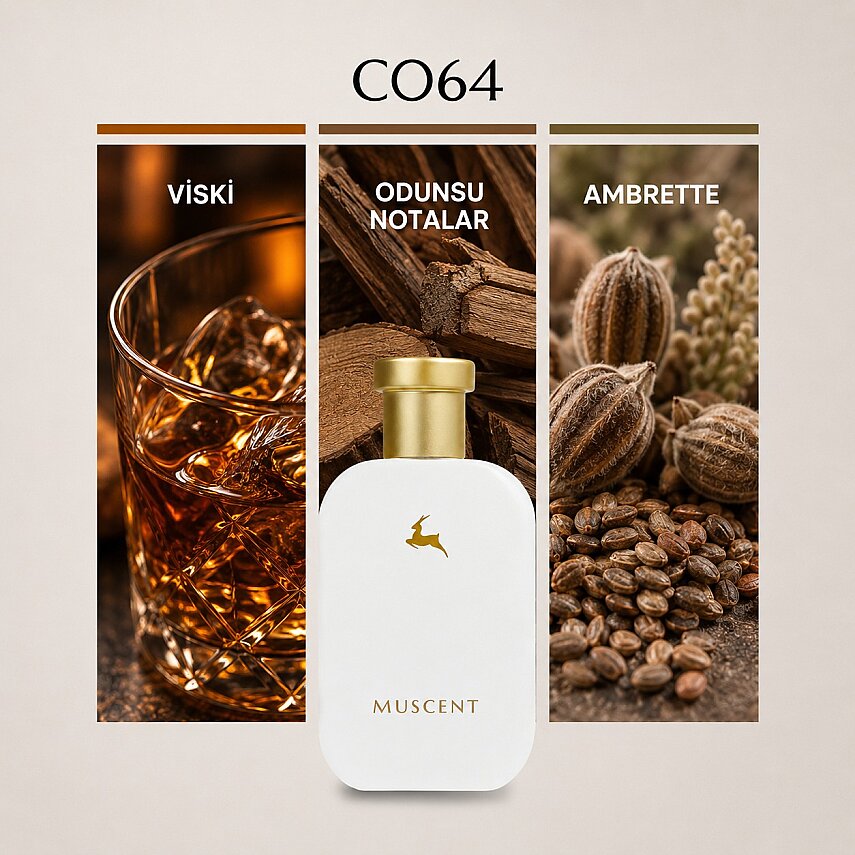 C064 Baronda - 1