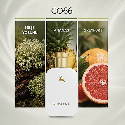 C066 Fruity Chypre - MUSCENT