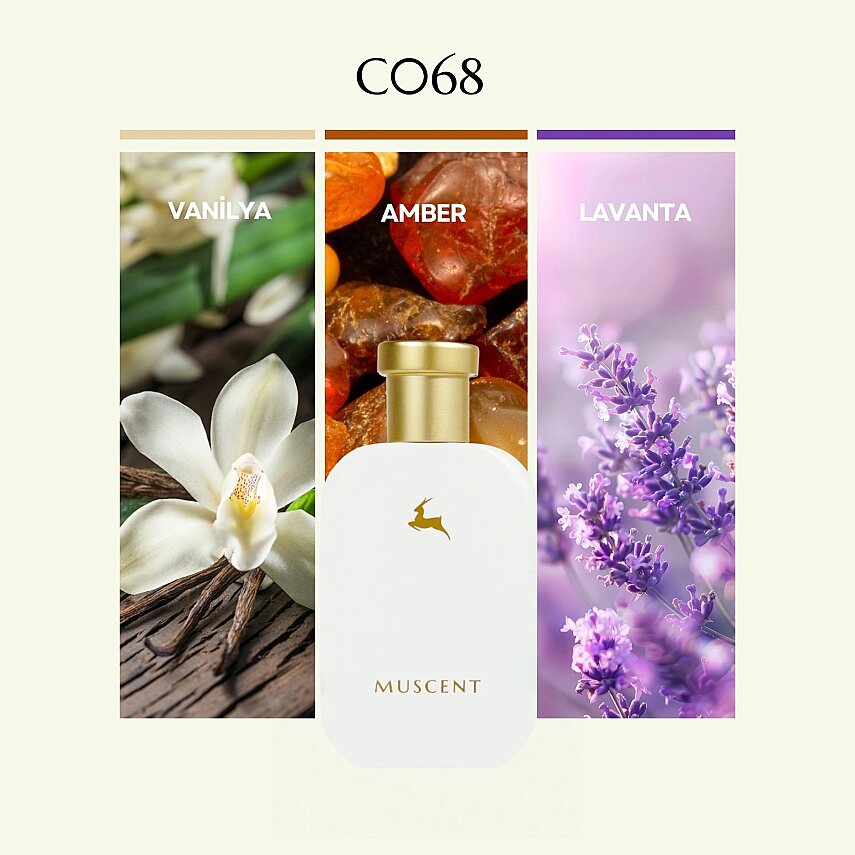 C068 Vibe3 - 1