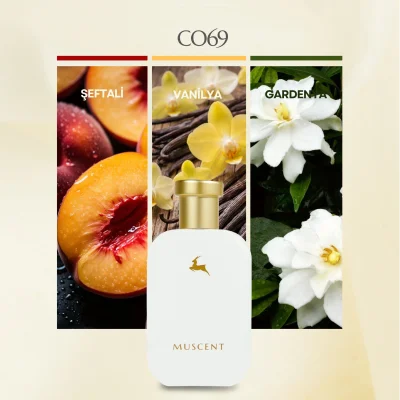 C069 100 Silent Way - 2