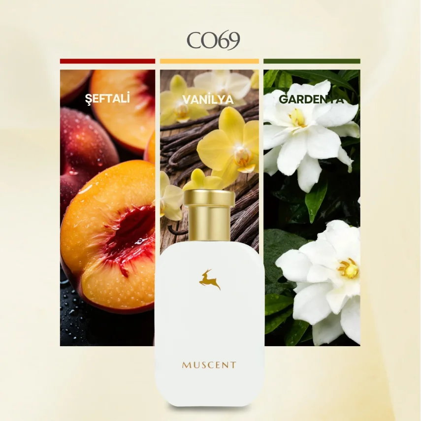 C069 100 Silent Way - 