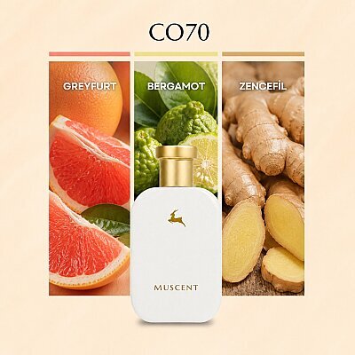 C070 Vibratone - MUSCENT