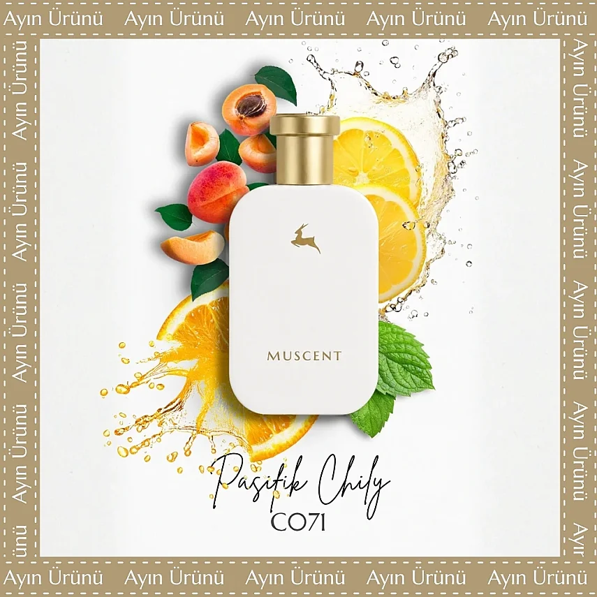 C071 Pasifik Chily - 