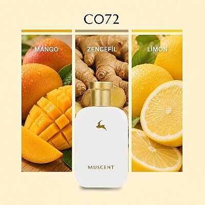 C072 Good On Fire - 
