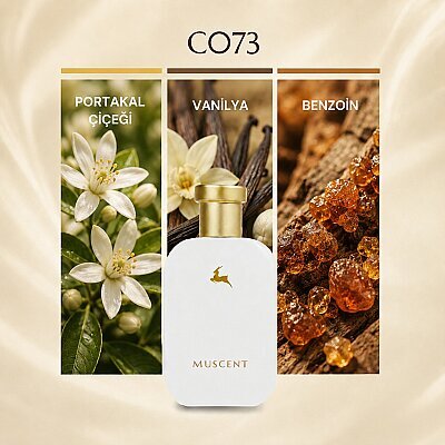 C073 Gouilty Elixir M - MUSCENT