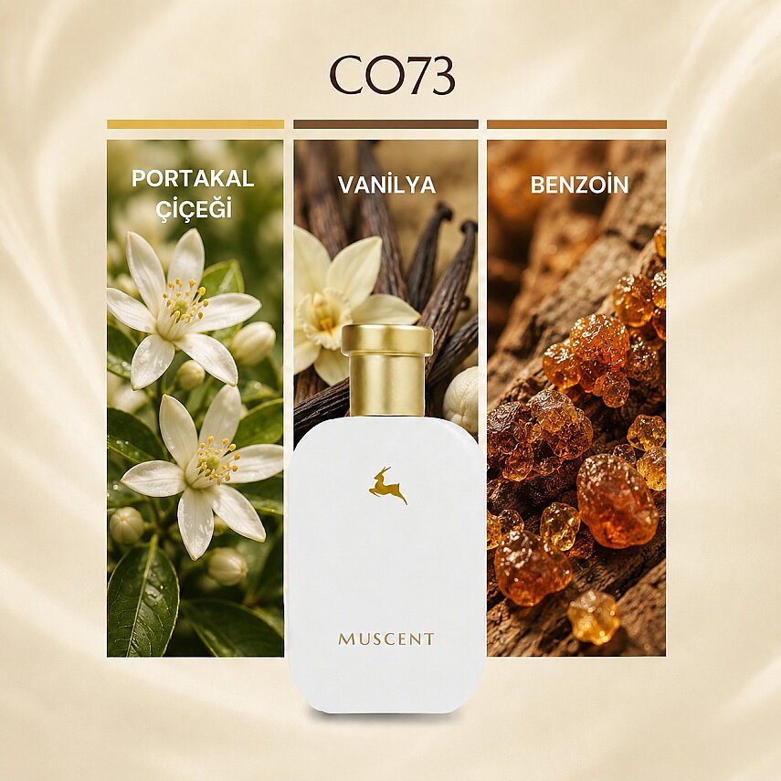 C073 Gouilty Elixir M - 1