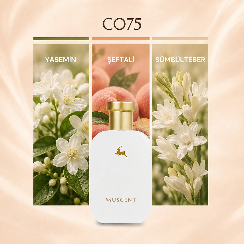 C075 Maduraj - 1