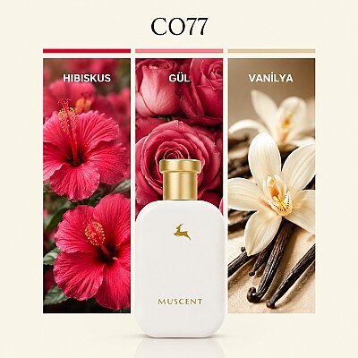 C077 Hibiscus Mahj - 