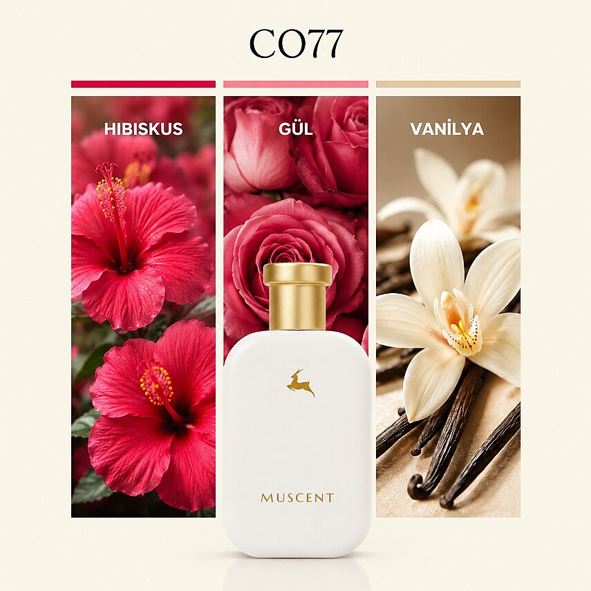 C077 Hibiscus Mahj - 1
