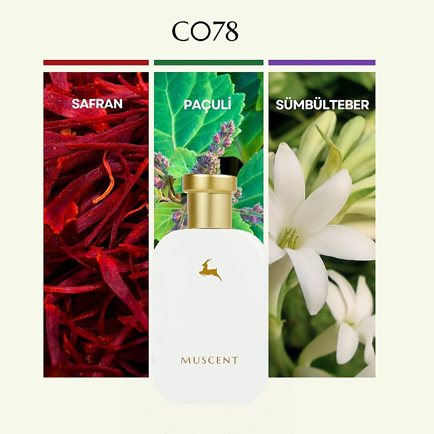 C078 Queen Silky - 1
