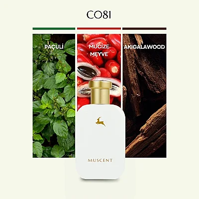 C081 Barrennia - MUSCENT (1)