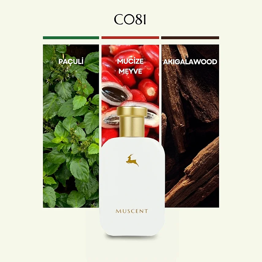 C081 Barrennia - 2