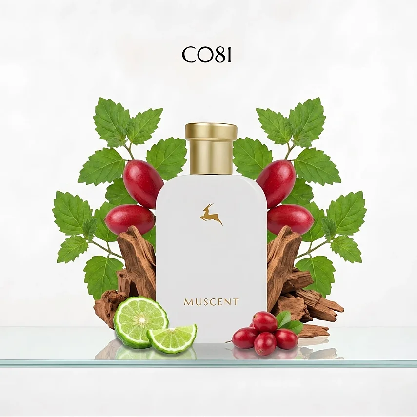 C081 Barrennia - 1
